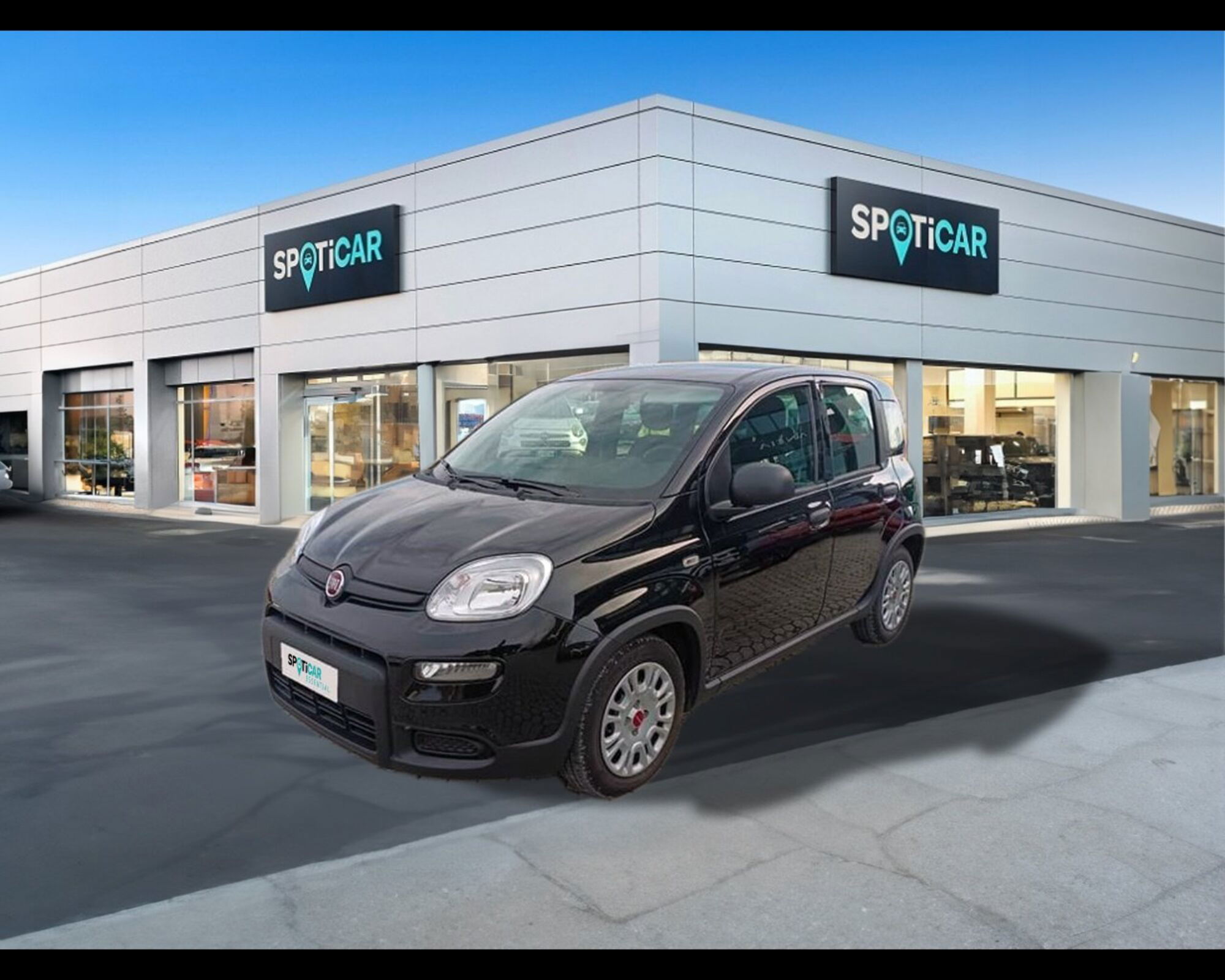 Fiat Panda 1.0 firefly hybrid s&amp;s 70cv 5p.ti del 2023 usata a Massarosa