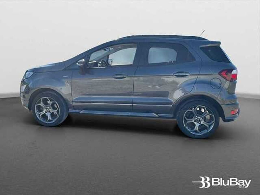 Ford EcoSport usata a Livorno (11)