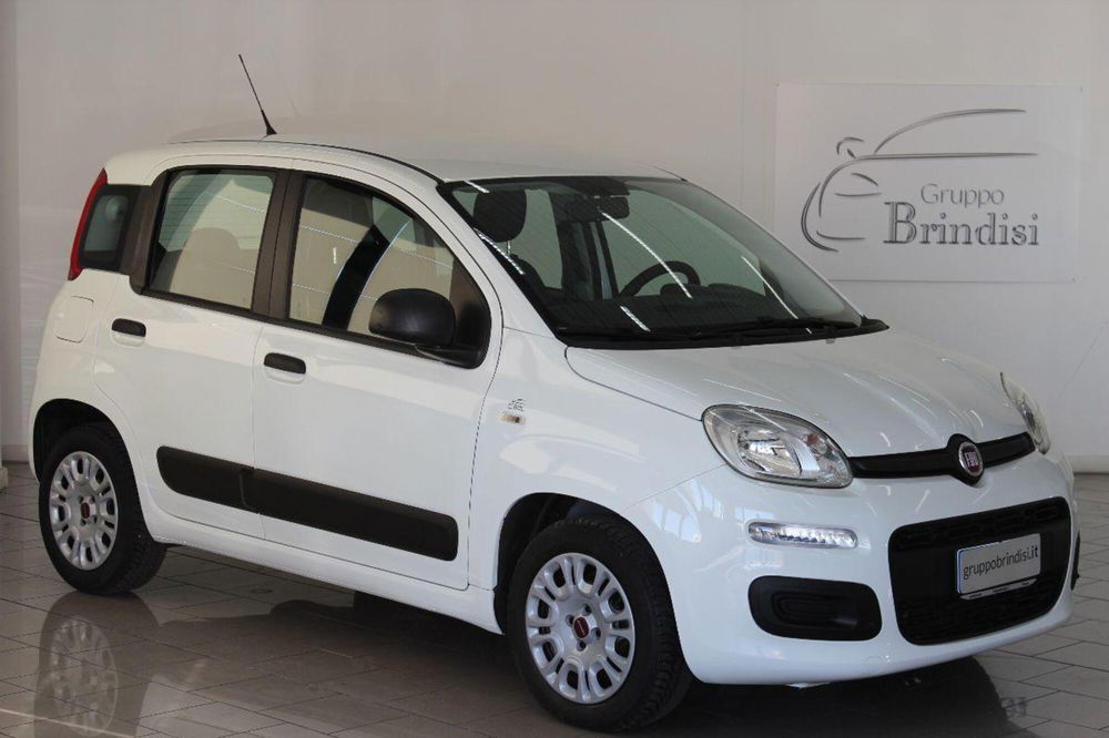 Fiat Panda usata a Potenza