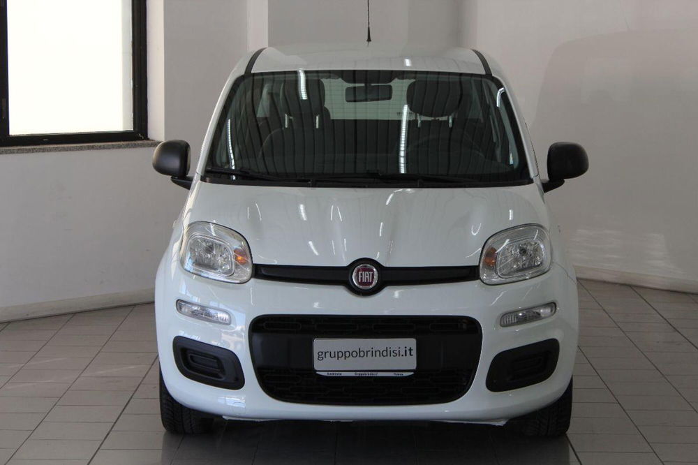 Fiat Panda usata a Potenza (2)