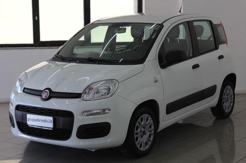 Fiat Panda usata a Potenza (3)