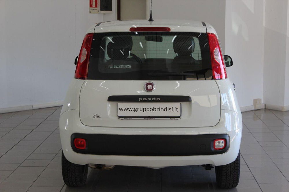 Fiat Panda usata a Potenza (5)