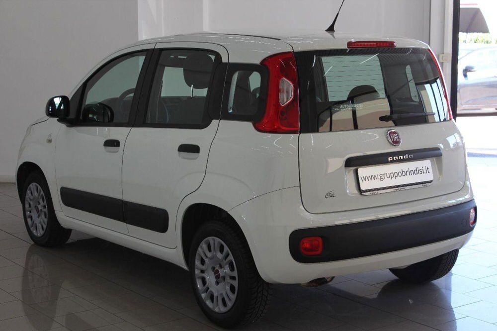 Fiat Panda usata a Potenza (6)