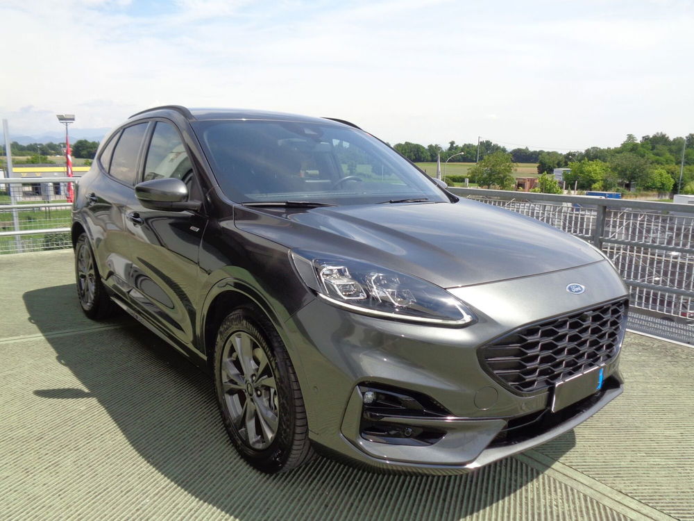 Ford Kuga usata a Treviso (4)