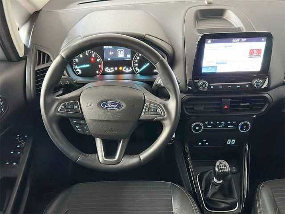 Ford EcoSport usata a Cosenza (9)