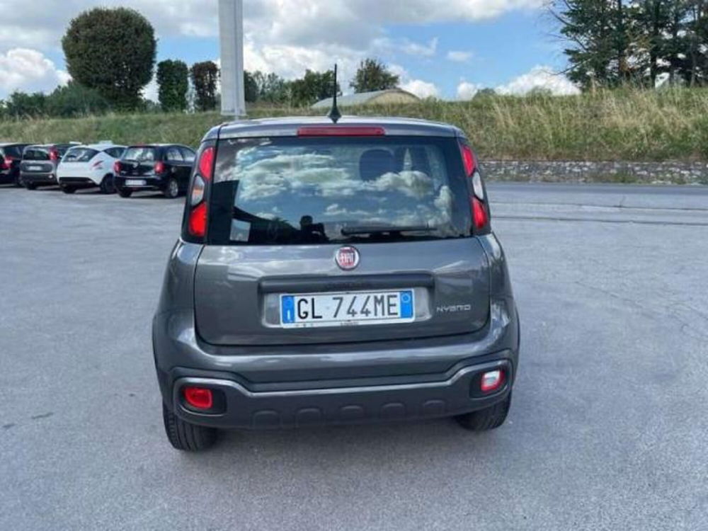 Fiat Panda Cross usata a Lucca (4)