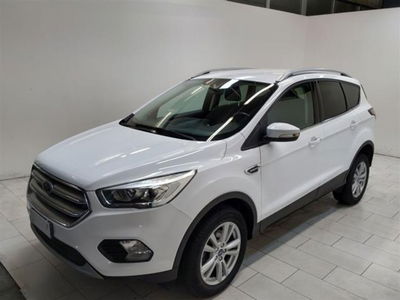 Ford Kuga 1.5 TDCI 120 CV S&amp;S 2WD Titanium Business del 2019 usata a Cuneo