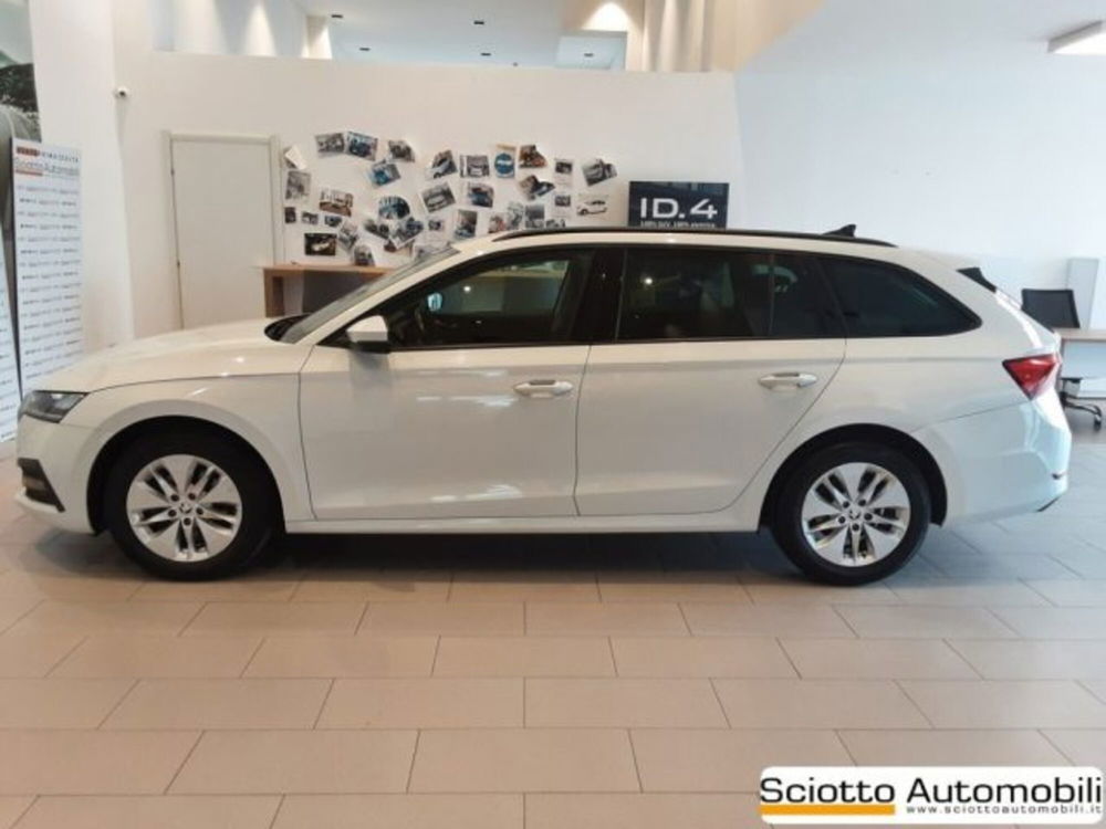 Skoda Octavia usata a Messina (4)