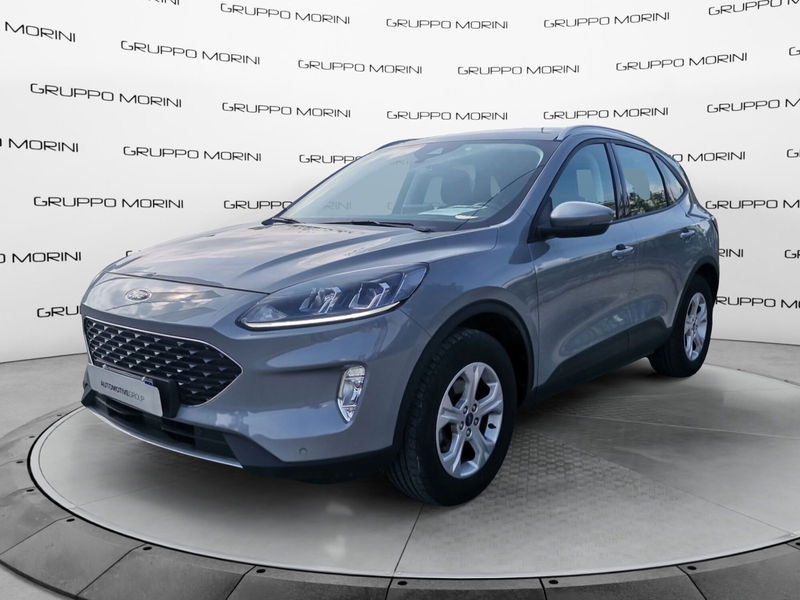 Ford Kuga 1.5 EcoBoost 120 CV 2WD Titanium del 2021 usata a Forli'