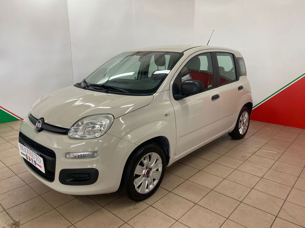 Fiat Panda usata a Arezzo