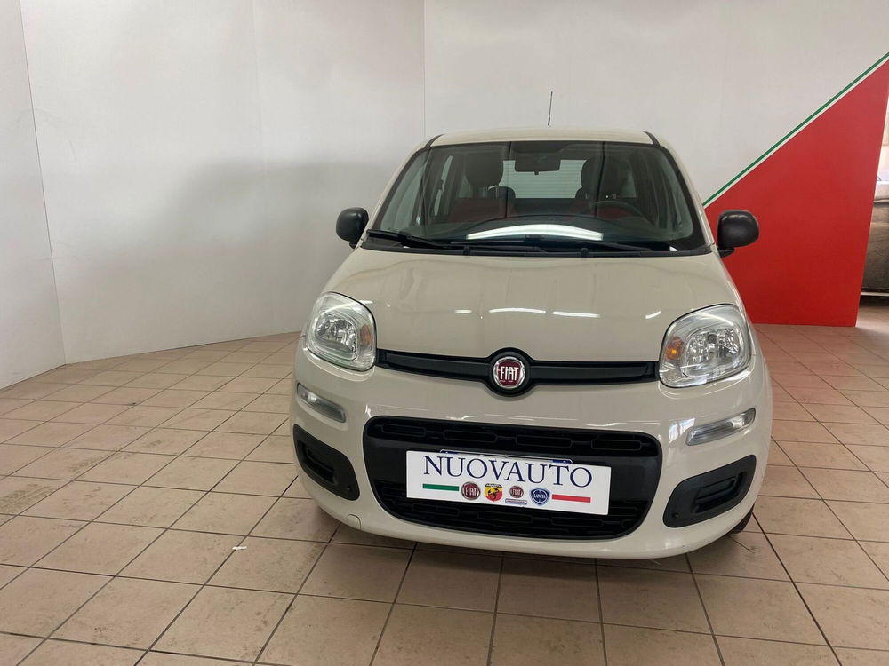 Fiat Panda usata a Arezzo (3)