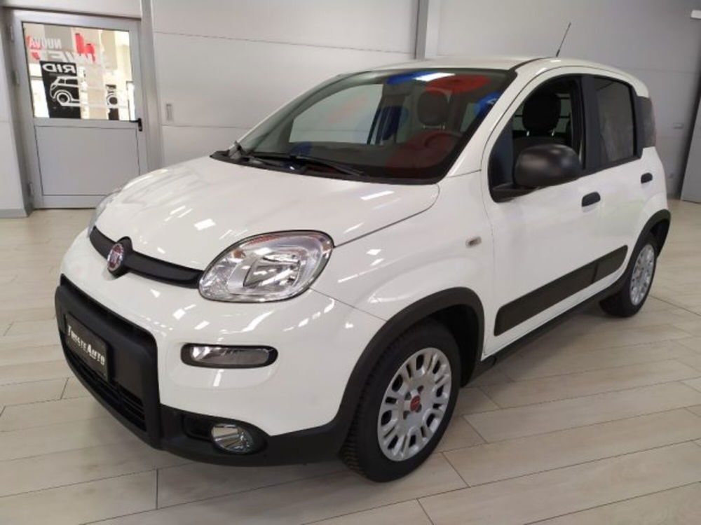 Fiat Panda usata a Trieste