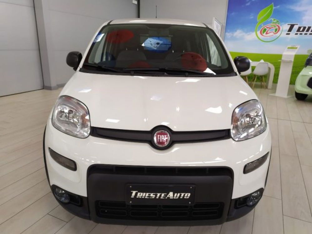 Fiat Panda usata a Trieste (2)