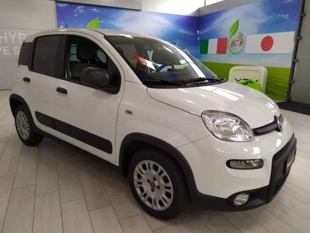 Fiat Panda usata a Trieste (3)