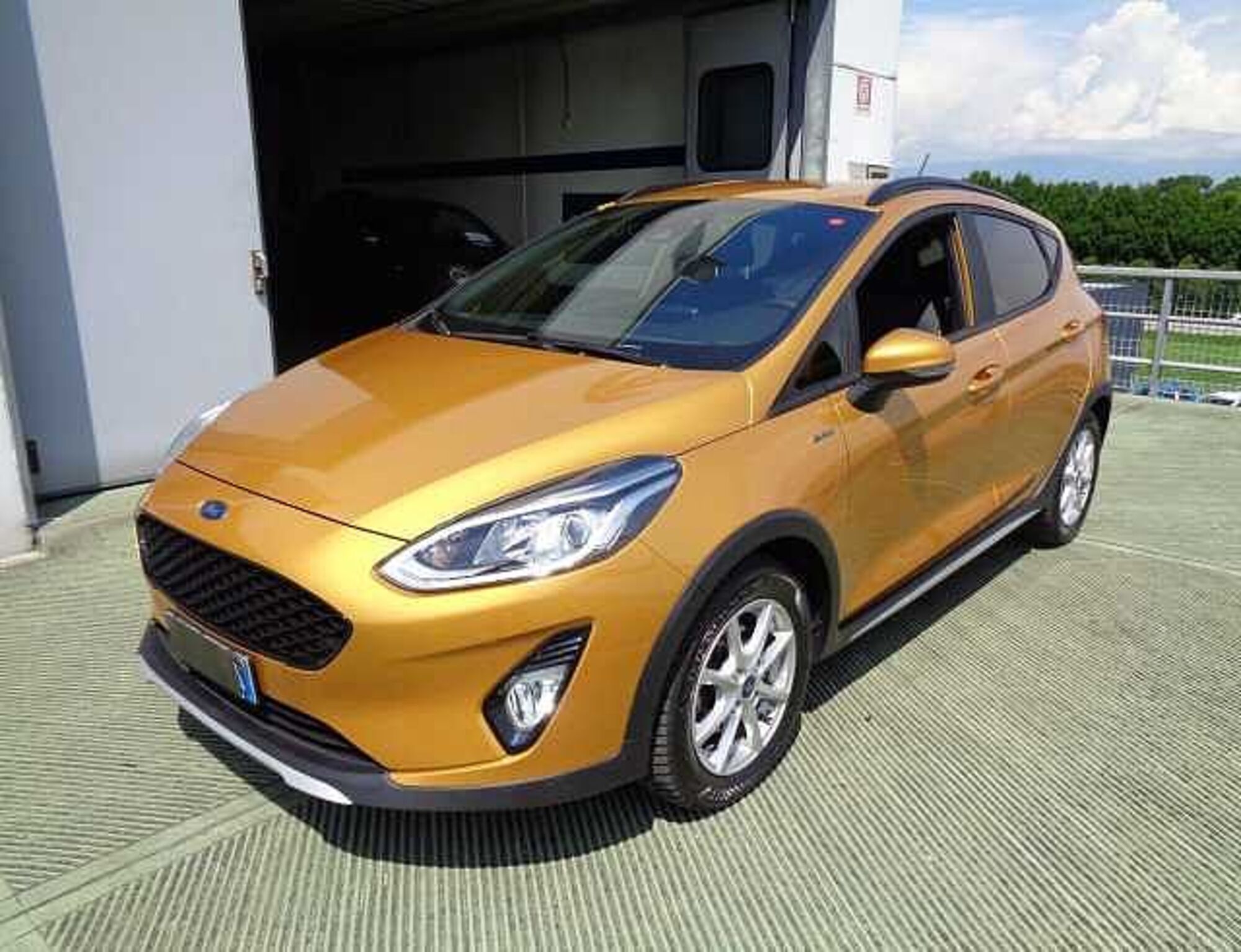 Ford Fiesta 1.0 Ecoboost Hybrid 125 CV 5 porte Active  del 2021 usata a Castelfranco Veneto