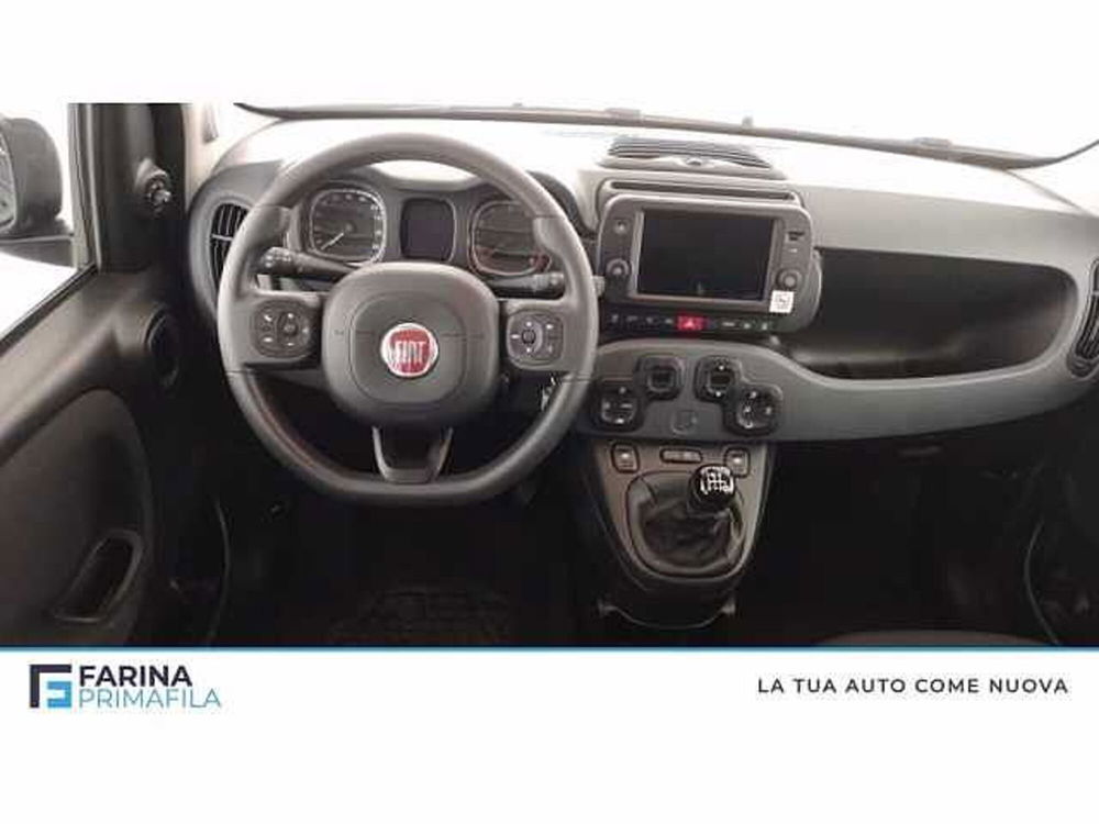 Fiat Panda Cross usata a Napoli (12)