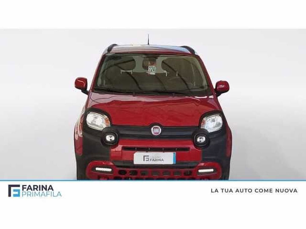 Fiat Panda Cross usata a Napoli (8)