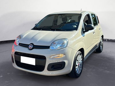 Fiat Panda 1.2 EasyPower Easy  del 2017 usata a Cirie&#039;