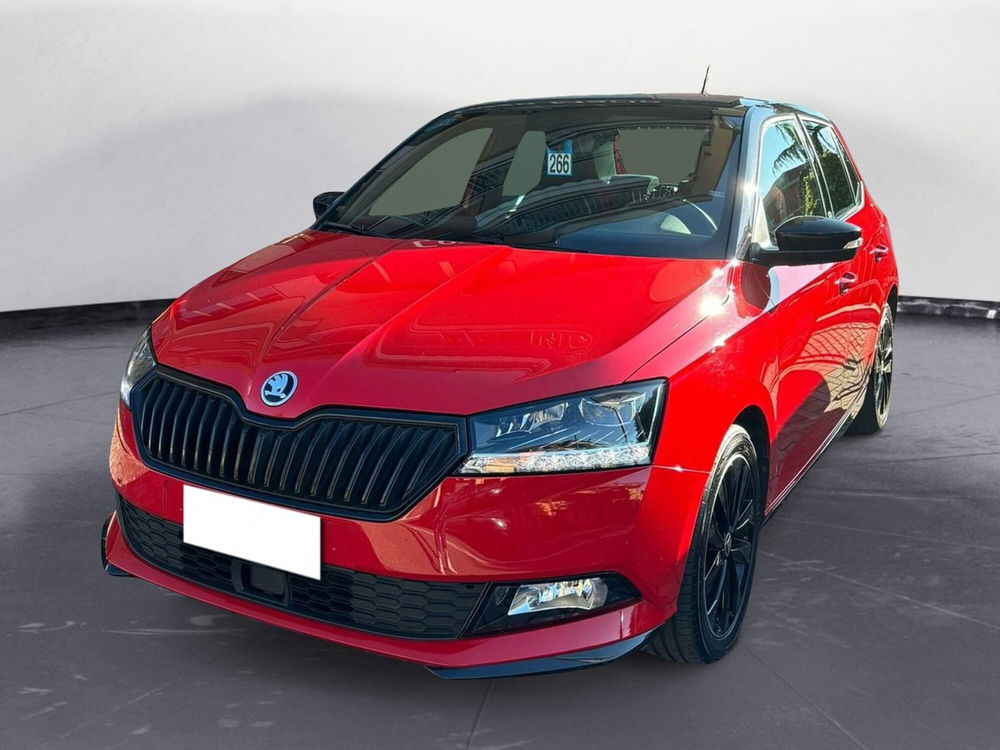 Skoda Fabia usata a Torino