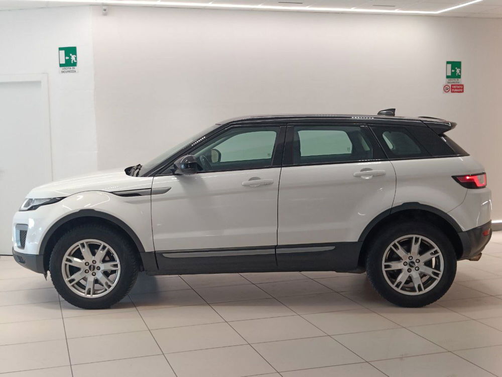 Land Rover Range Rover Evoque usata a Savona (5)