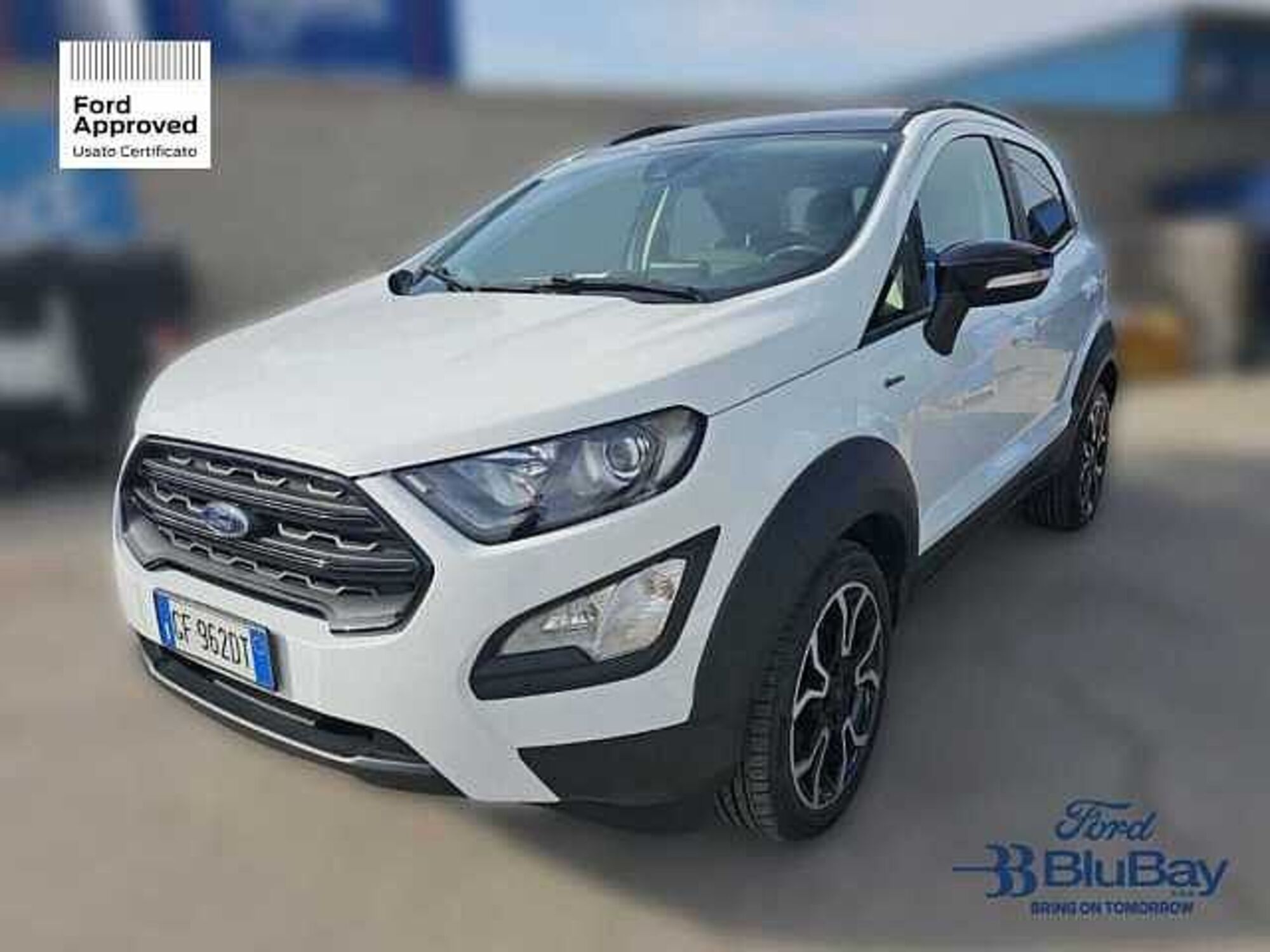 Ford EcoSport 1.0 EcoBoost 125 CV Start&amp;Stop Active del 2021 usata a Livorno