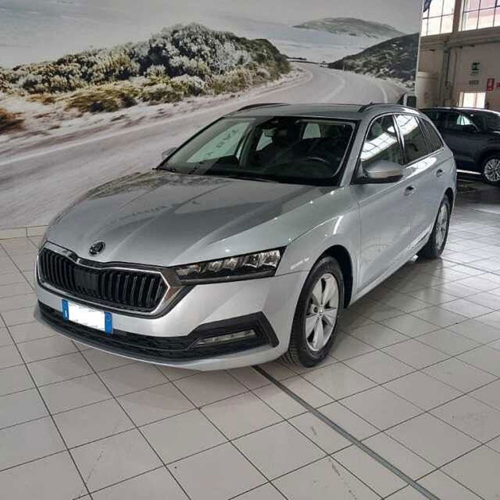 Skoda Octavia Station Wagon usata a Barletta-Andria-Trani (2)