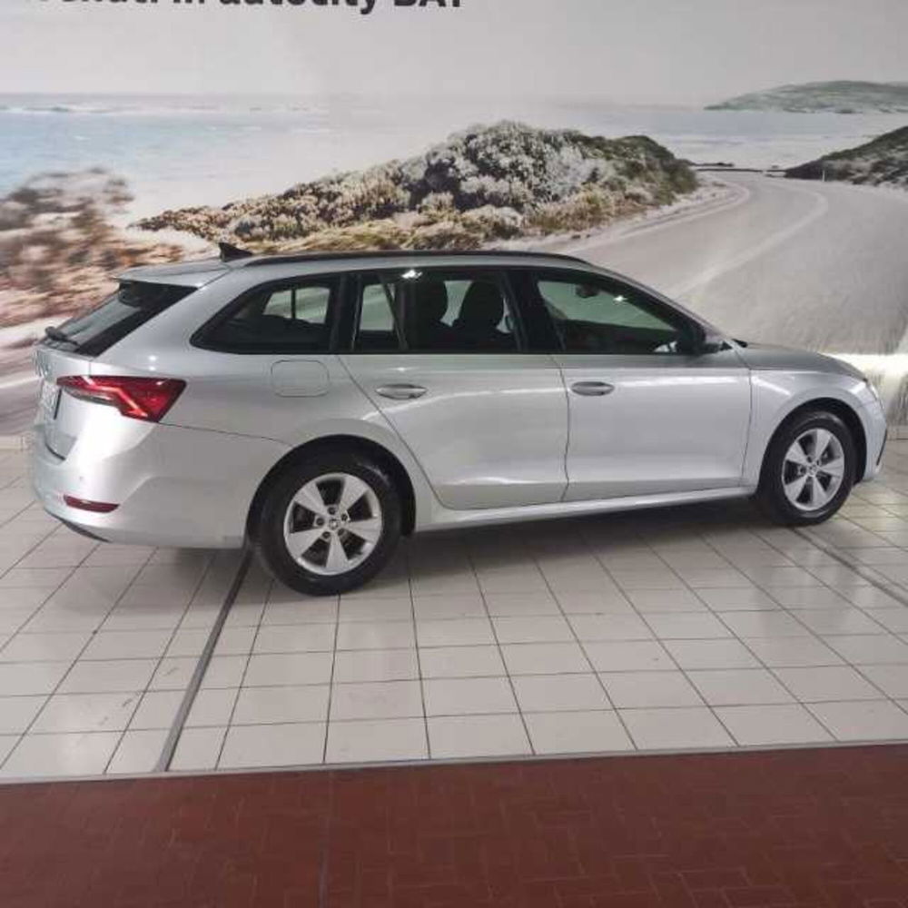 Skoda Octavia Station Wagon usata a Barletta-Andria-Trani (3)