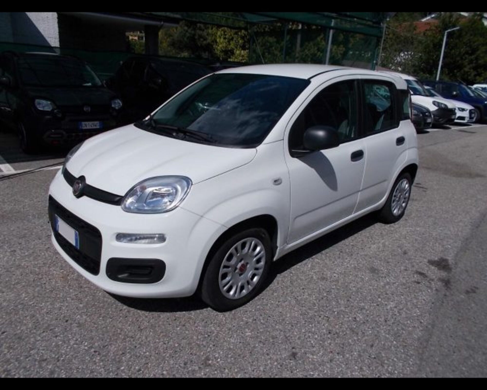 Fiat Panda 1.0 firefly hybrid s&amp;s 70cv 5p.ti del 2022 usata a Pont Saint Martin