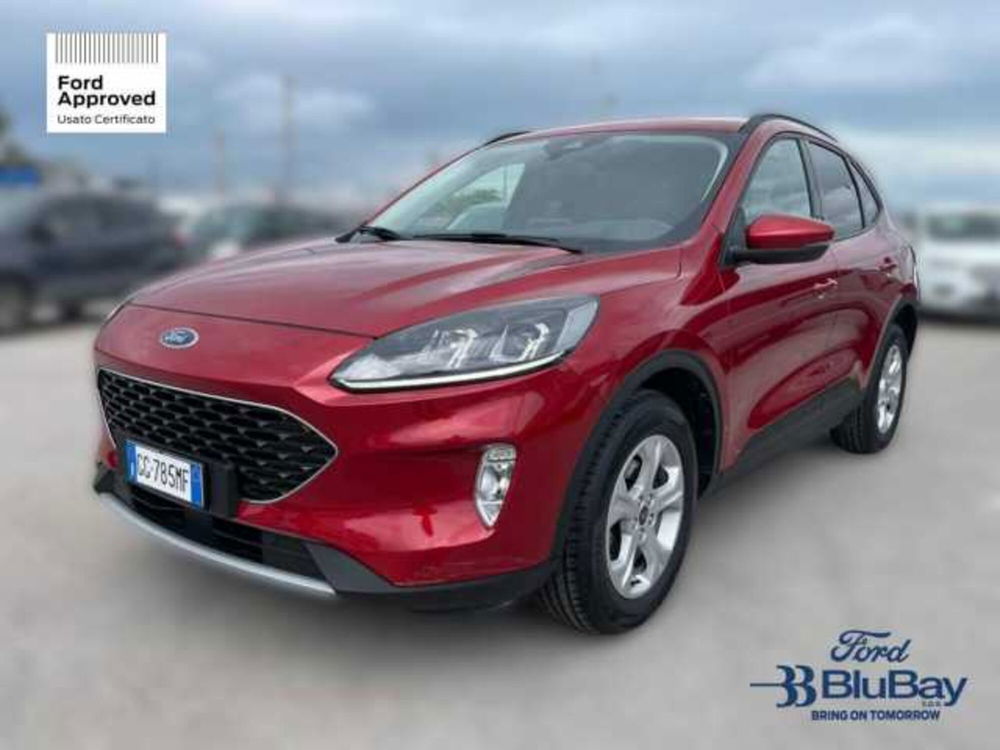 Ford Kuga usata a Livorno