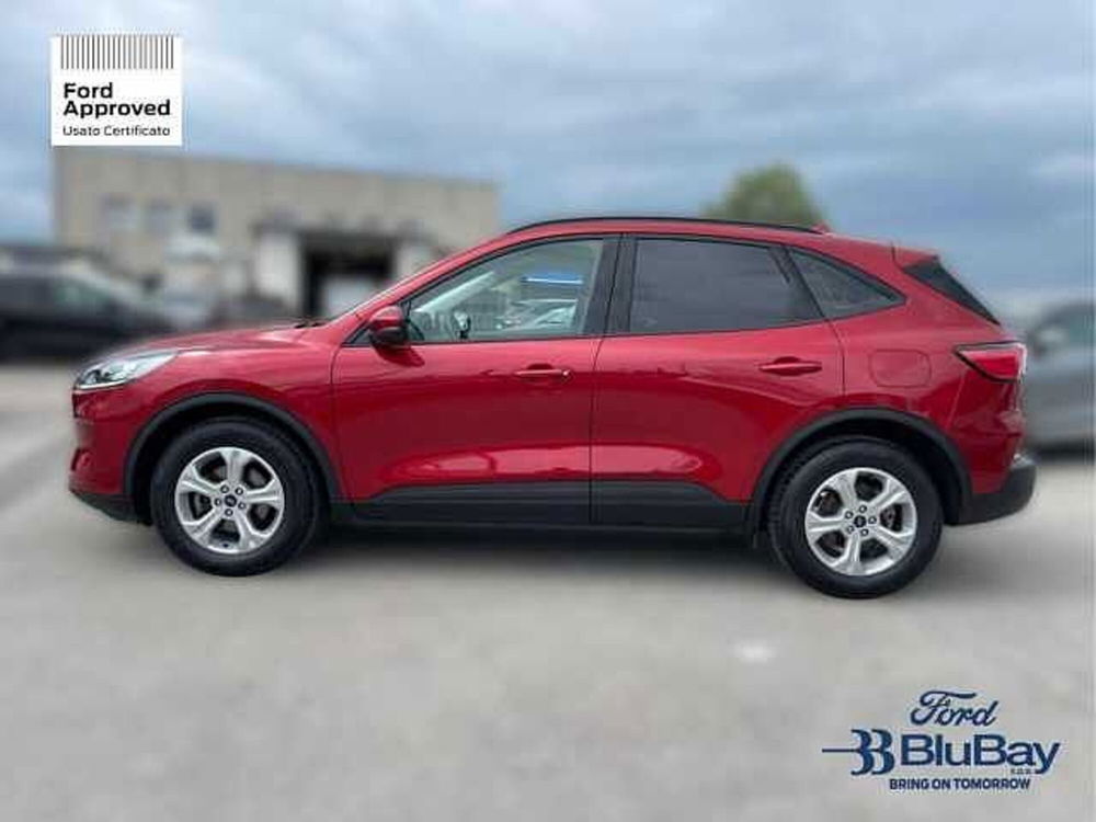 Ford Kuga usata a Livorno (13)