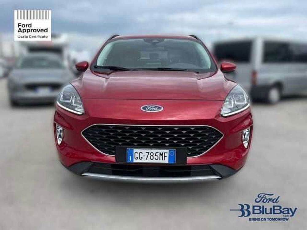 Ford Kuga usata a Livorno (2)