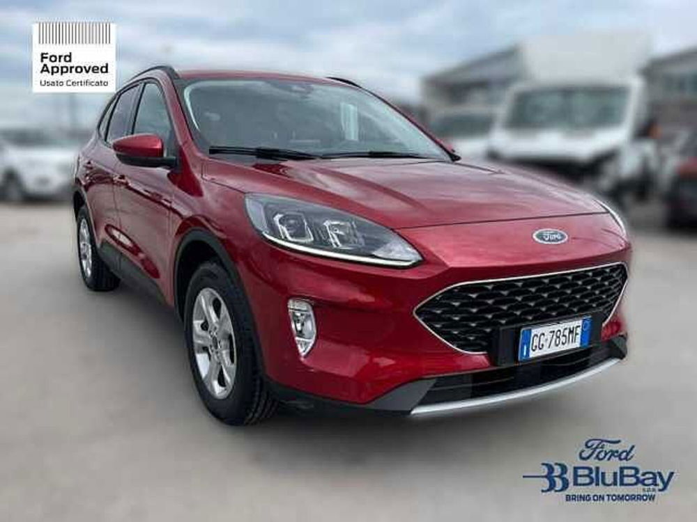 Ford Kuga usata a Livorno (3)