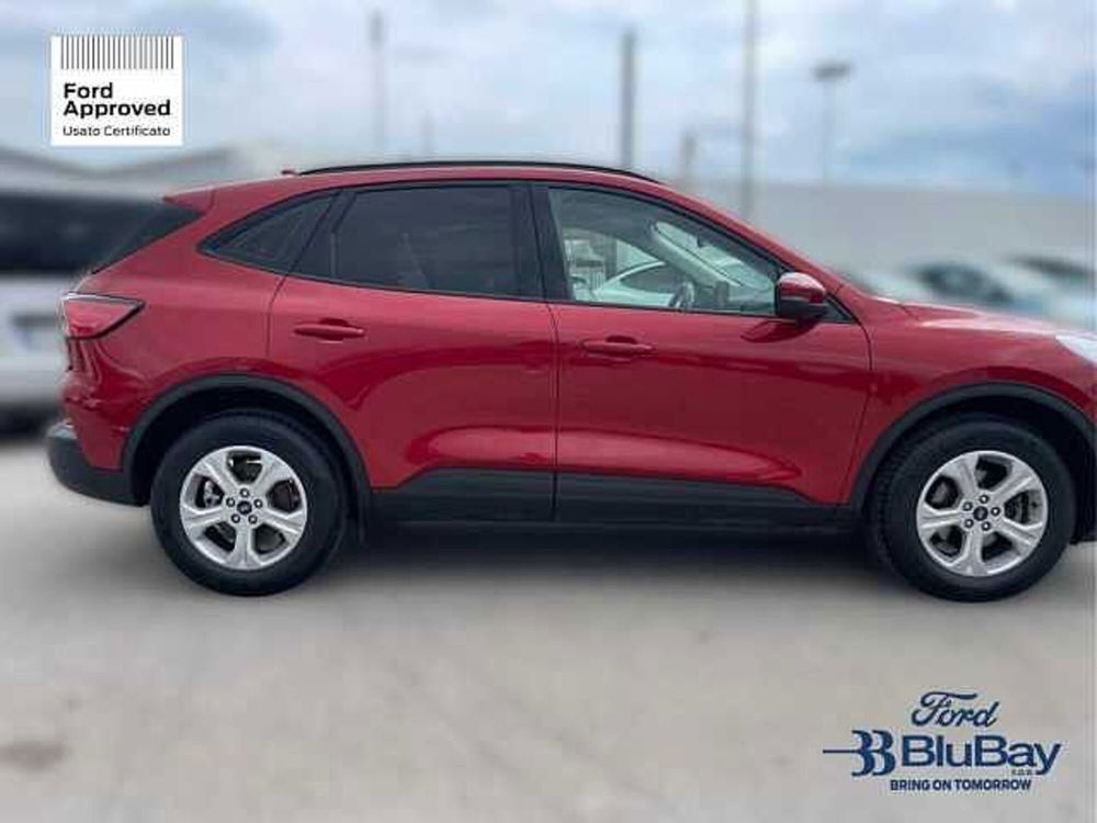 Ford Kuga usata a Livorno (4)