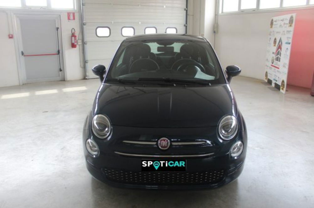 Fiat 500 usata a Terni (2)