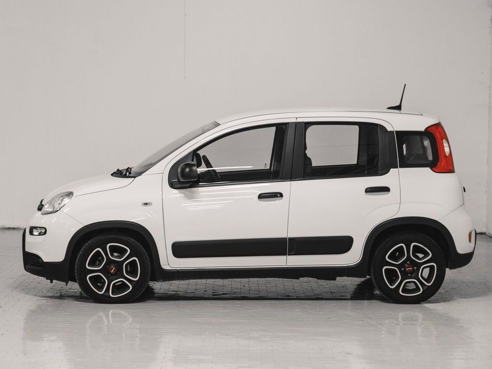 Fiat Panda usata a Prato (2)