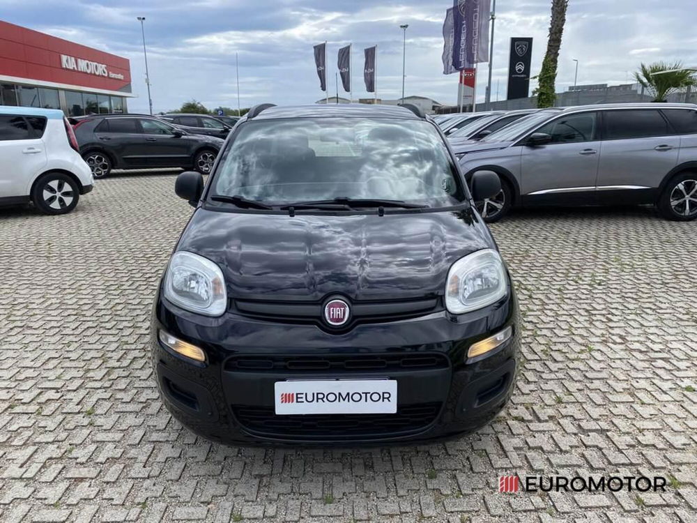 Fiat Panda usata a Bari (2)