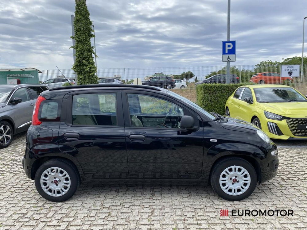 Fiat Panda usata a Bari (4)