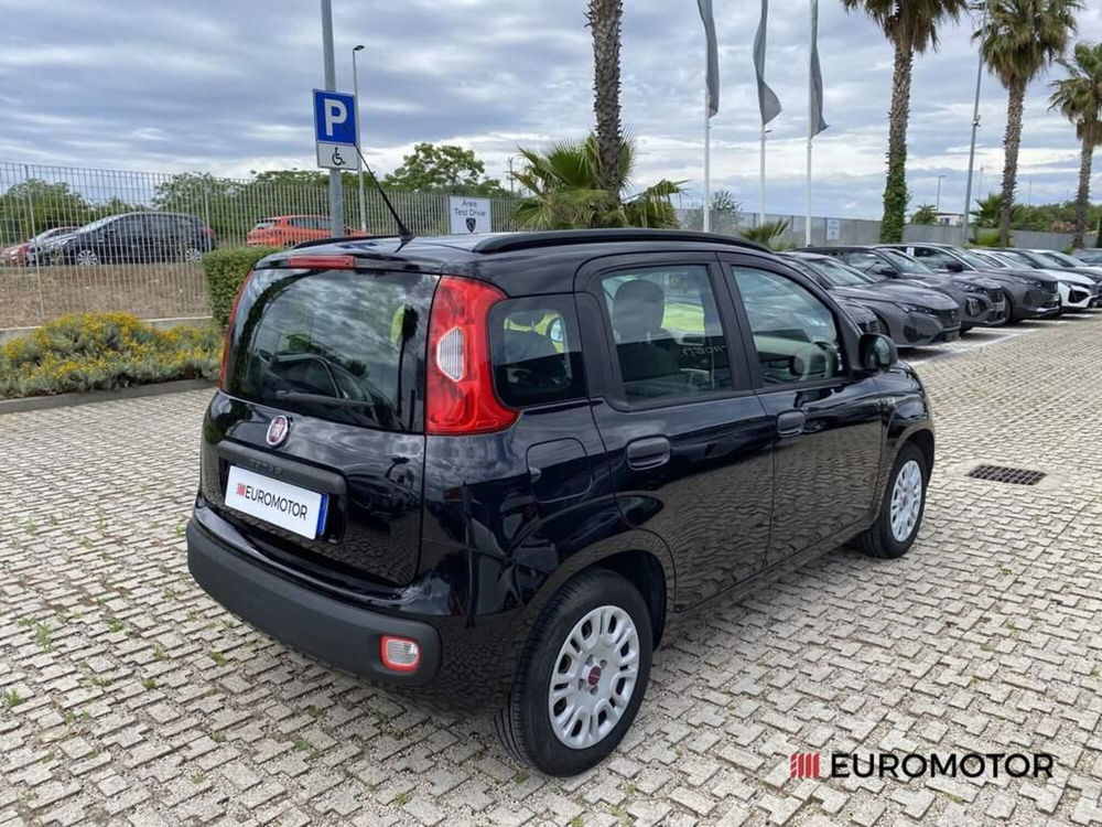 Fiat Panda usata a Bari (5)