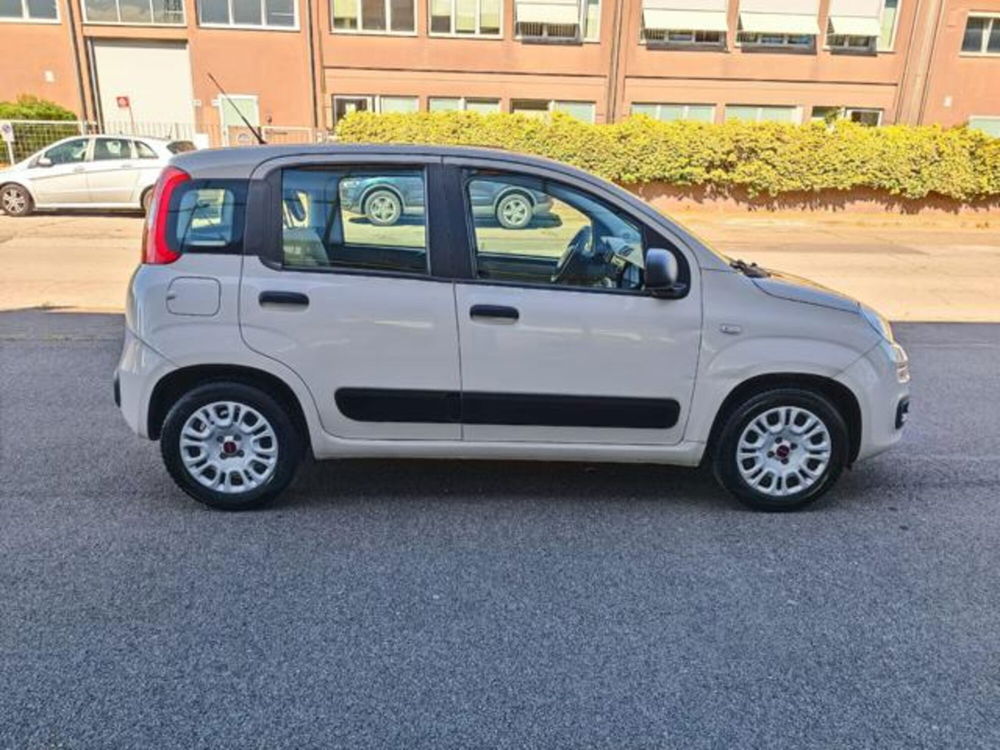 Fiat Panda usata a Pisa (3)