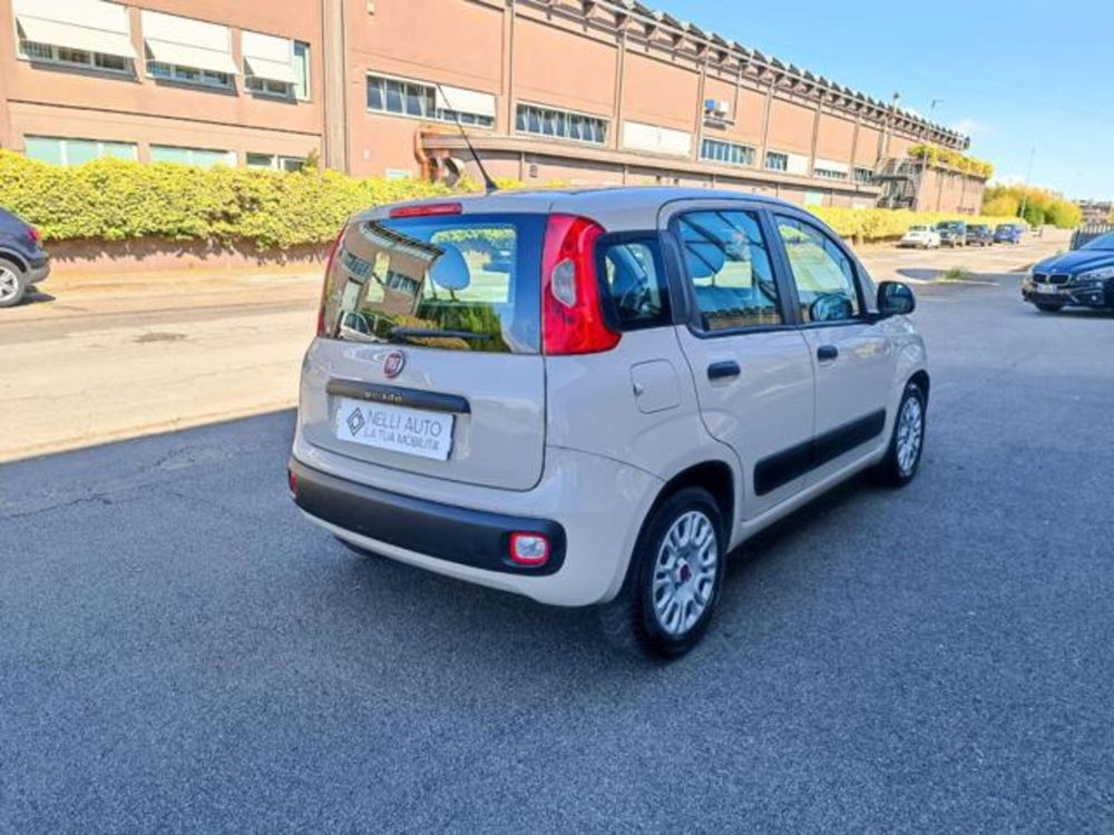 Fiat Panda usata a Pisa (5)