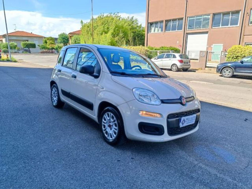 Fiat Panda usata a Pisa (7)