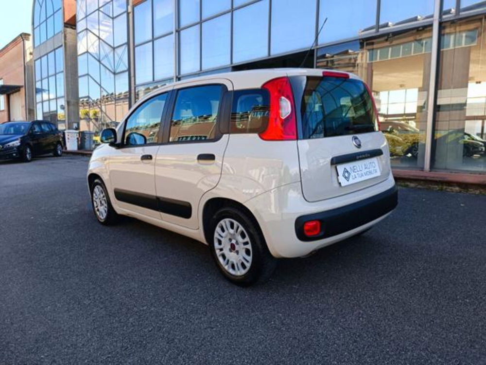 Fiat Panda usata a Pisa (8)