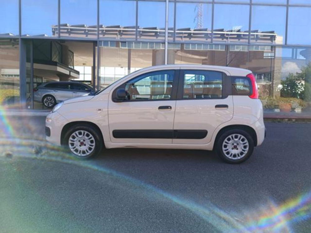 Fiat Panda usata a Pisa (9)