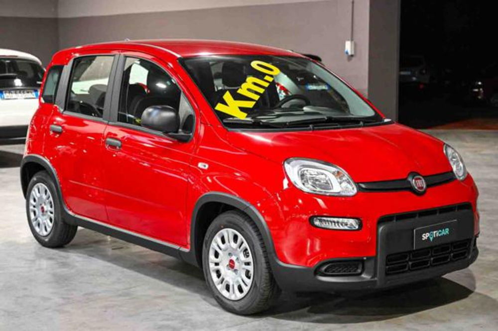 Fiat Panda nuova a Torino (3)