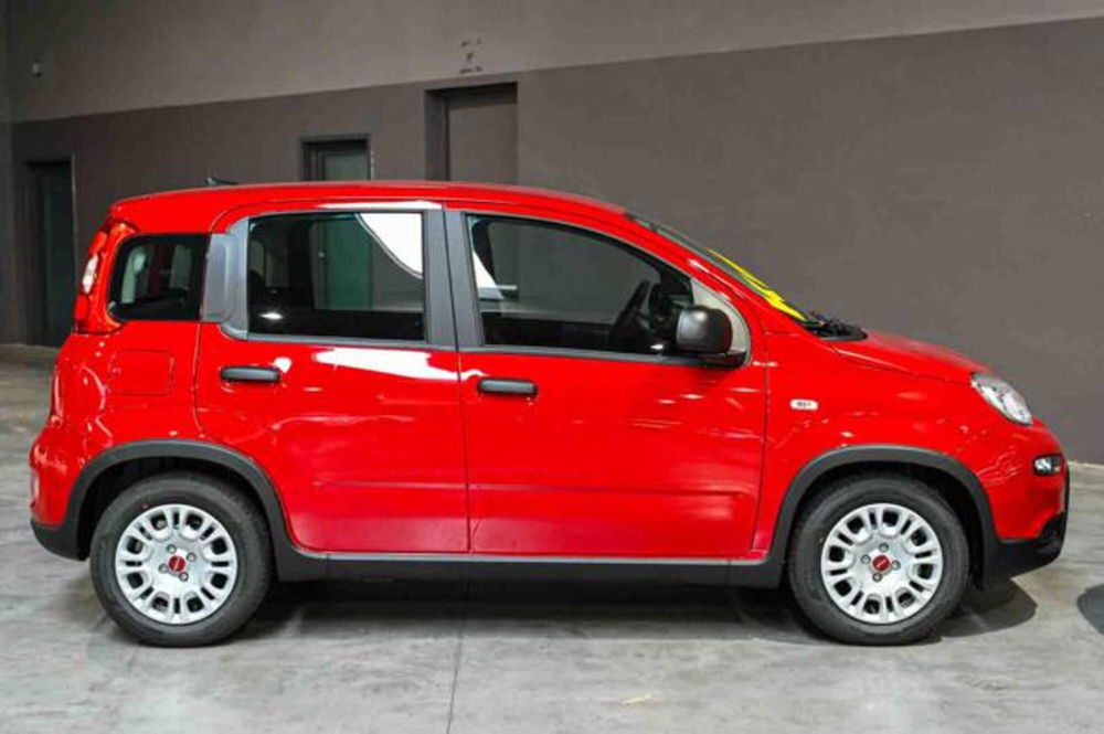 Fiat Panda nuova a Torino (4)