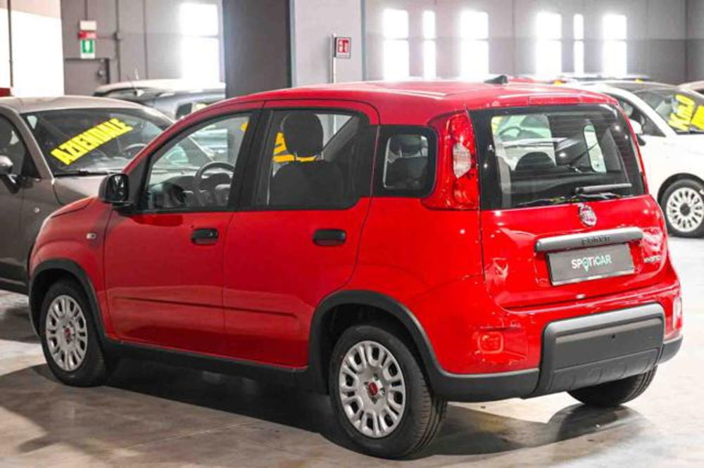 Fiat Panda nuova a Torino (7)