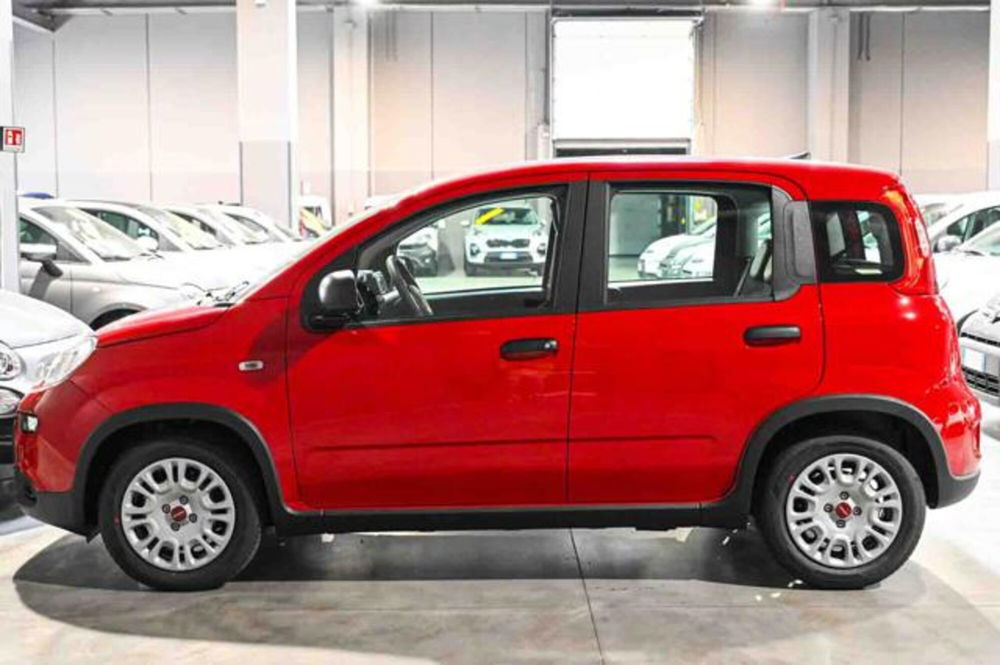 Fiat Panda nuova a Torino (8)