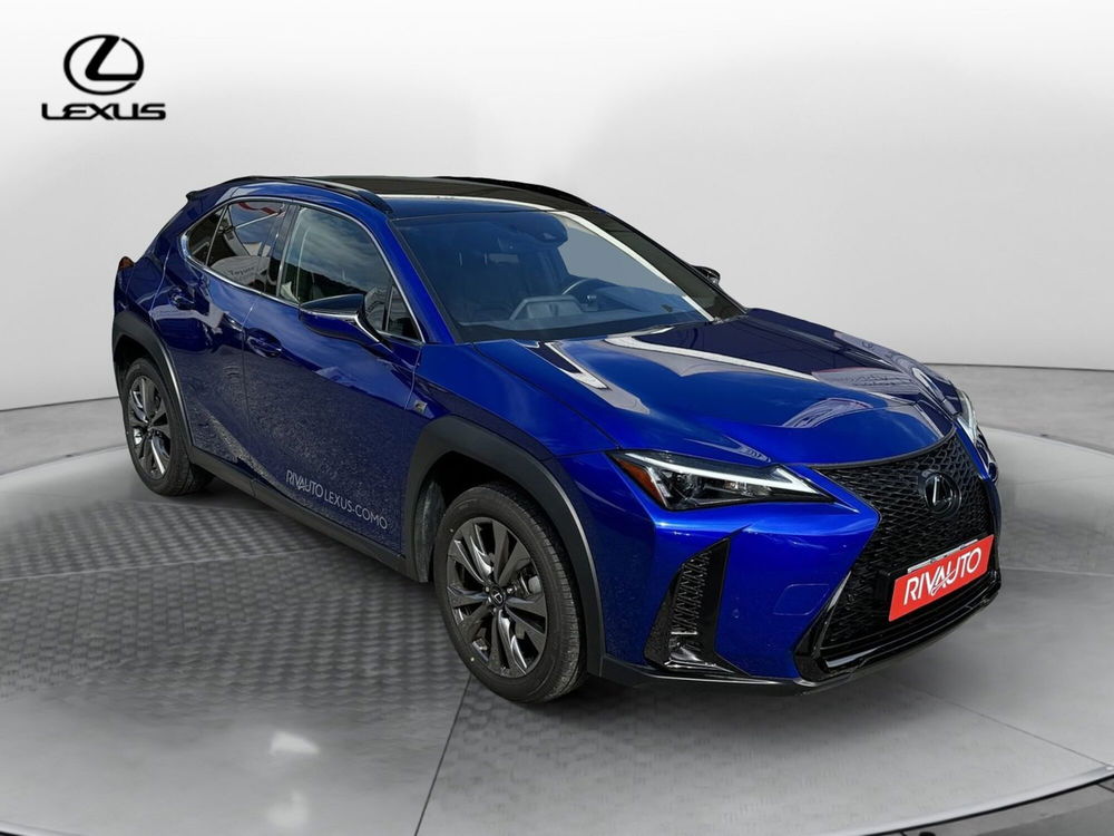 Lexus UX usata a Como (4)