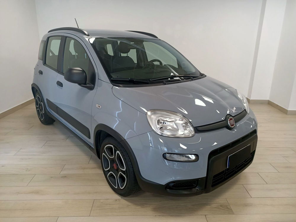 Fiat Panda usata a Torino