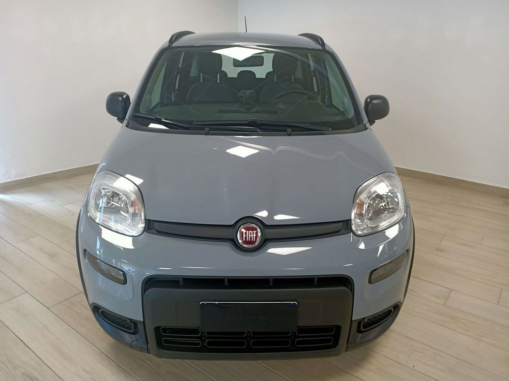 Fiat Panda usata a Torino (2)